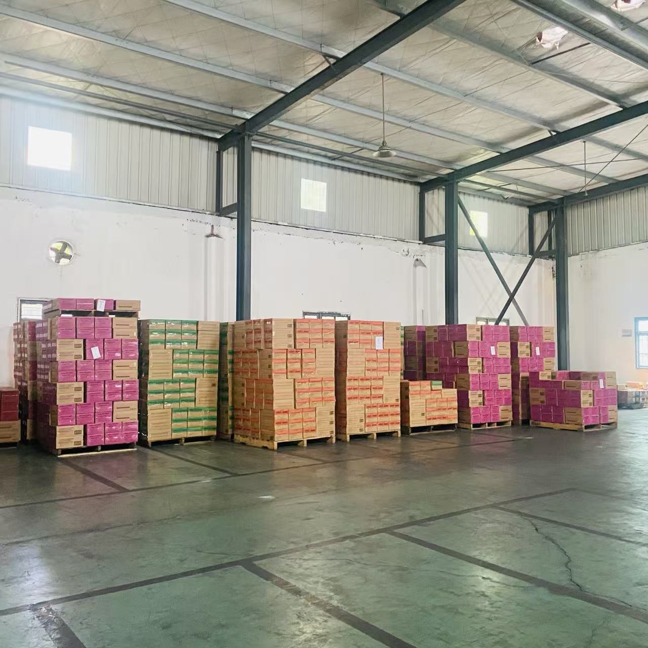 3,000 Cartons of 350ml PET Canned Fruit Flavoured Sparkling Drinks Dispatched to the Philippines